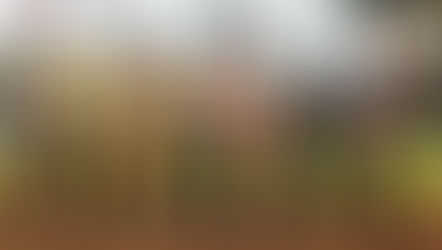 Celebrating Brotherhood and Baseball at Arabia Shriners Night with the Houston Astros