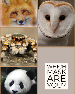 BFSS 11x17 Mask Poster.png