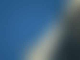 The History of Gargoyles