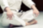 Jujitsu Posture