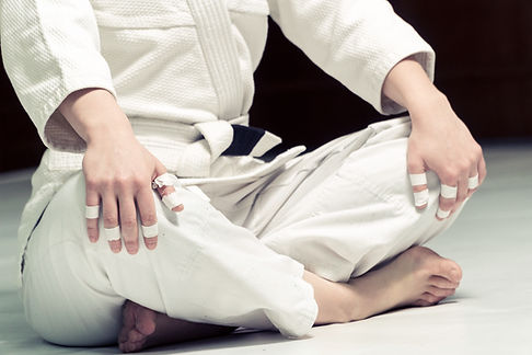 Jujitsu Posture