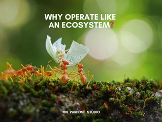 Paradigm Shift: Reimagine Companies as Ecosystems, not as Machines.