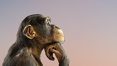 aware - 2023-12-03T131545.533.png