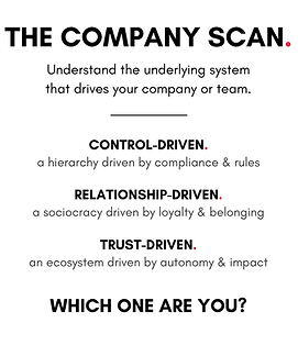 Company Scan Assessment Report.png