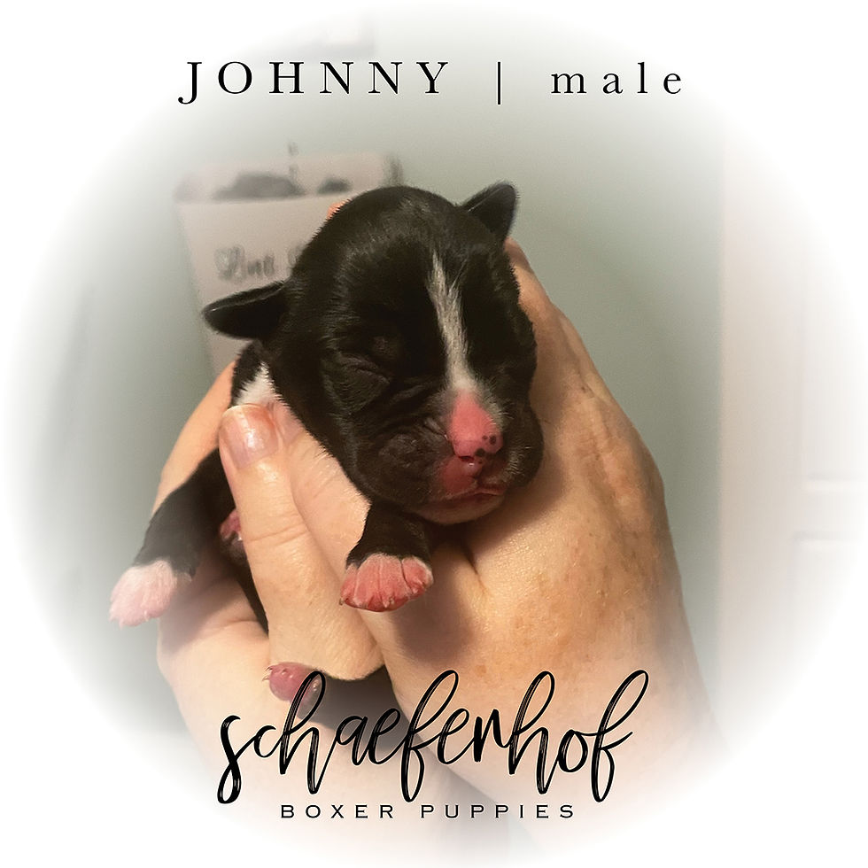 Johnny