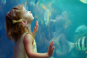 Girl at Aquarium_edited.jpg