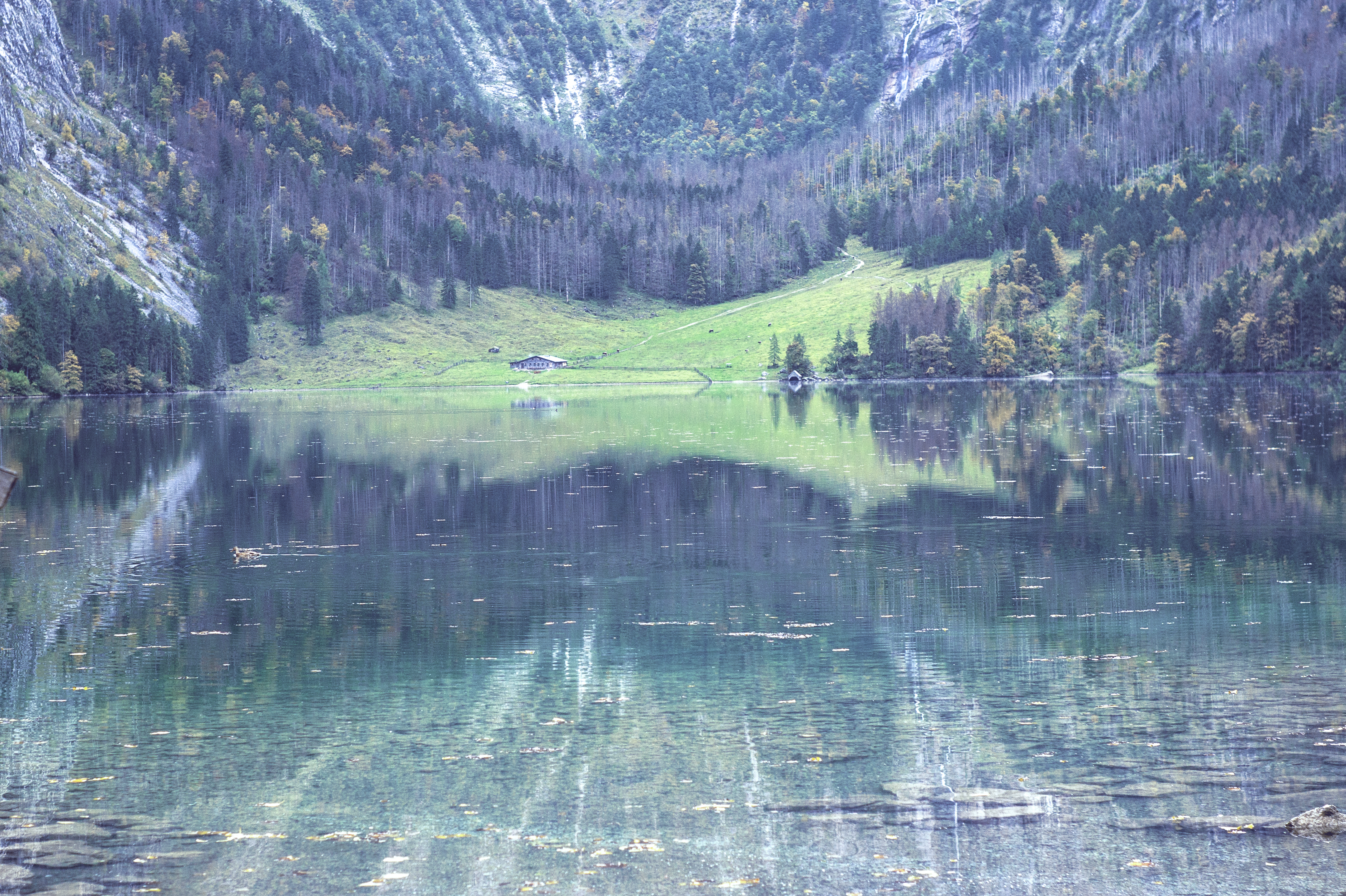Shoot In Austria