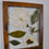 Thumbnail: 8 x 10 Peony Frame