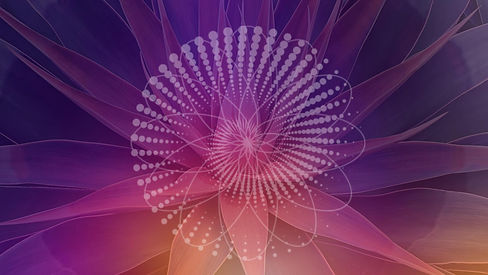 387331884_575074894701687_922390346073172186_n.jpg
