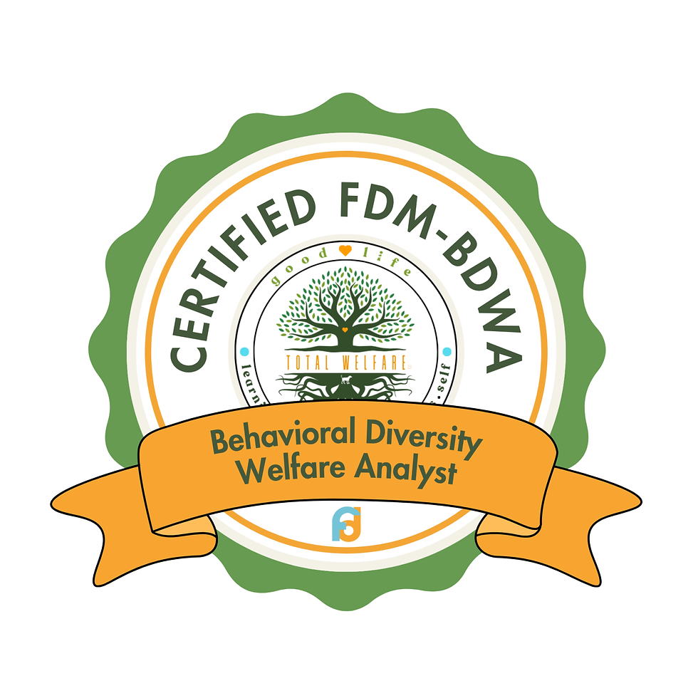 Crystal Gerovac, ADT, CCUI, FDM-BDWA, LFDM-T