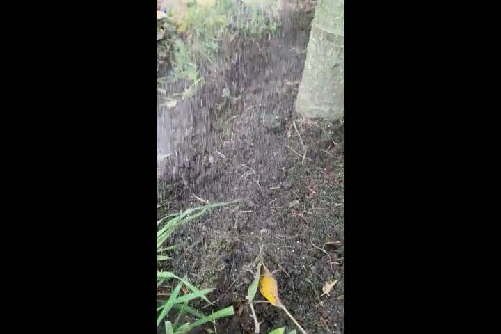 Миниатюра: KYUSAKICHI #0082 Cапка 360 mm 