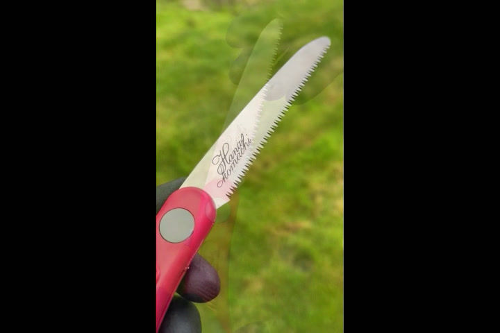 Прев'ю: Пила ARS IK-10-R складна 