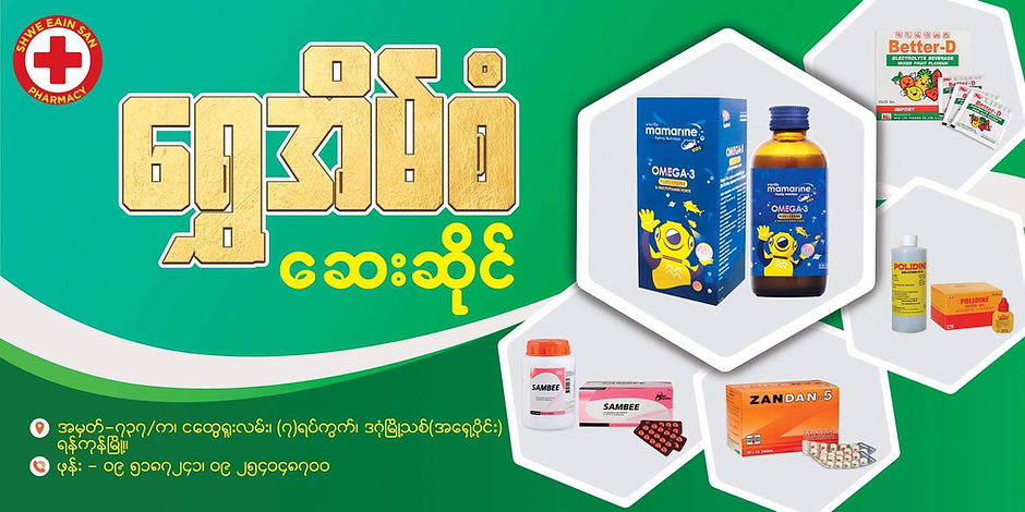 Banner - Shwe Eain San.png