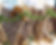 18159527818074637_edited_edited.jpg