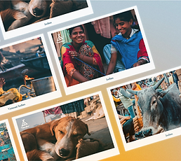 工作區域 1 複本.png