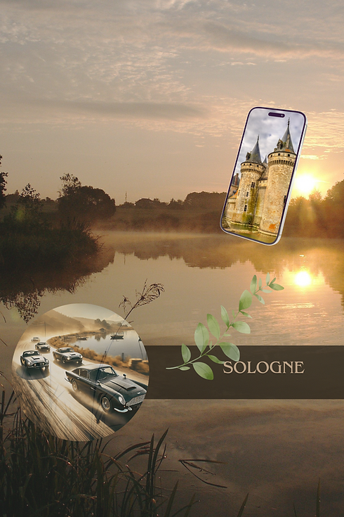 Sologne (3).png
