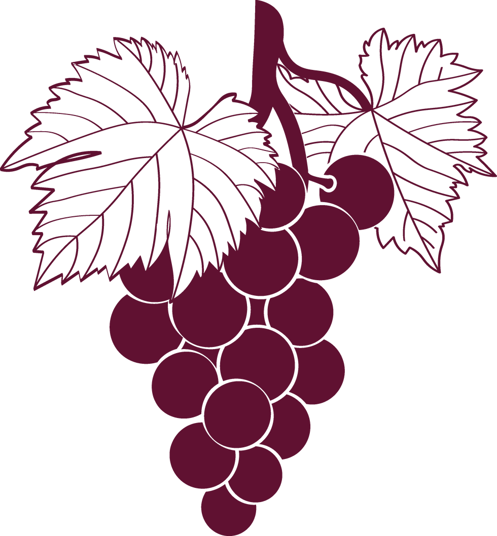Grape Vines and Bunch - Wine Country_4x.png