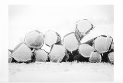 Mika_Cévennes-4