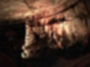 IMG_0726.jpeg
