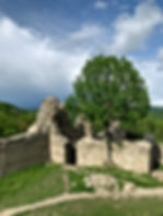 IMG_5226.jpeg