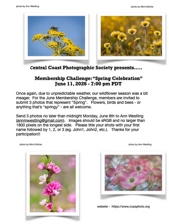 Poster - Spring - June 11, 2026_edited.p