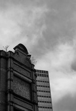 IMG_6690-2.jpg