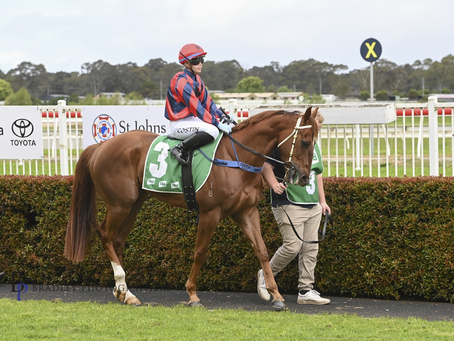 A TALE OF TWO HORSES WHO WENT DIFFERENT WAYS