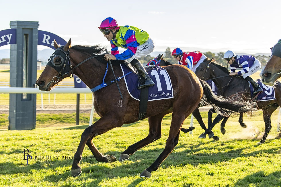 BUCKO GETS FRAZER BACK IN THE WINNING LIST