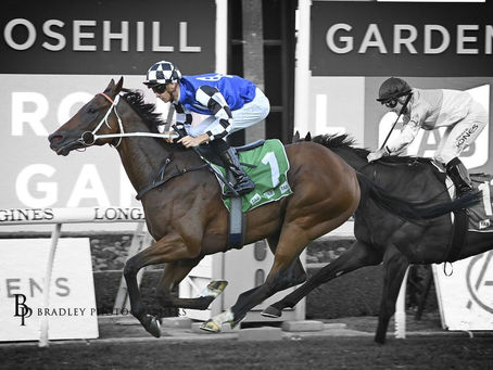 LEES CHASING ANOTHER FIRST-UP COFFS CUP SUCCESS