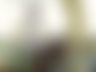 ROSEHILL GETS THE “NOD” OVER MUDGEE CUP