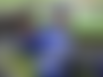 OSMOND GETS CHANCE FOR CITY DOUBLE