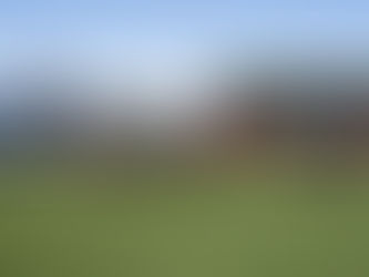 NEWCASTLE MARE CHASING BLACK TYPE BREAKTHROUGH