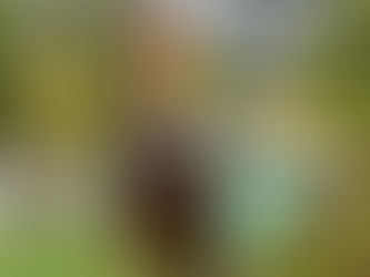 “SIXTH SENSE” GETS A HAWKESBURY TREBLE