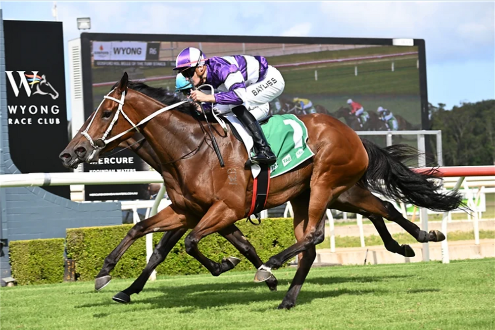 GOSFORD READY TO RUMBLE FOR FEATURE HOLIDAY MEETING