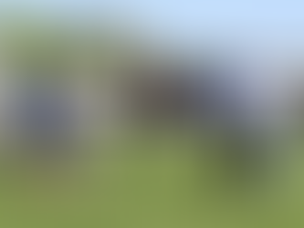 “HARRY” READY TO EARN HIS STRIPES IN TOWN