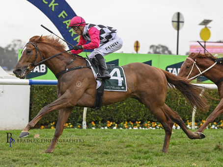 BUCHANAN’S YOUNGSTER A STAYER IN THE MAKING