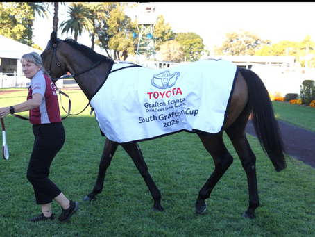 BIG DANCE ELIGIBILITY SPARKS SOUTH GRAFTON CUP INTEREST