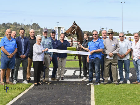 GUTSY MARE SHEDS MAIDEN STATUS