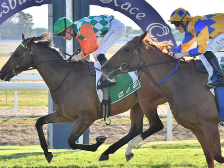 HAWKESBURY TRAINERS BOOK-END HOME PROGRAM