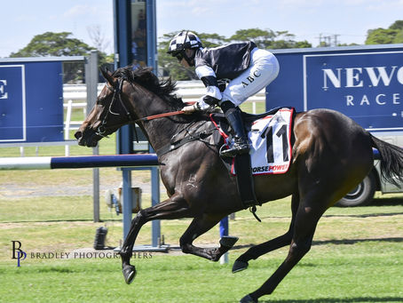 WIDDUP’S FILLY SHOWS HER TRUE COLOURS