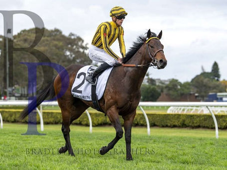 TENENBAUM HEADS FOR MING DYNASTY AND NOT RUN TO THE ROSE