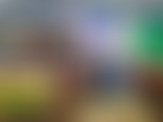 LEES’ STRENGTH IN NUMBERS FOR NEWCASTLE STAKES