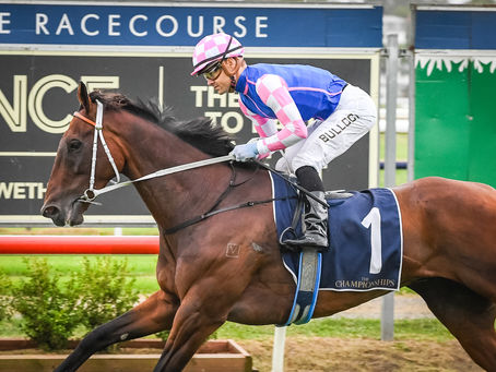 LEES’ STRENGTH IN NUMBERS FOR NEWCASTLE STAKES