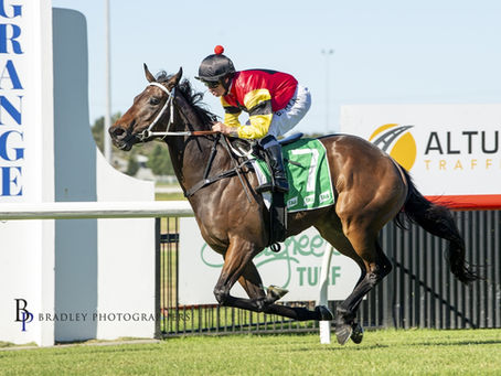 KEMBLA TRAINERS VYING FOR LOCAL PREMIERSHIP HONOURS