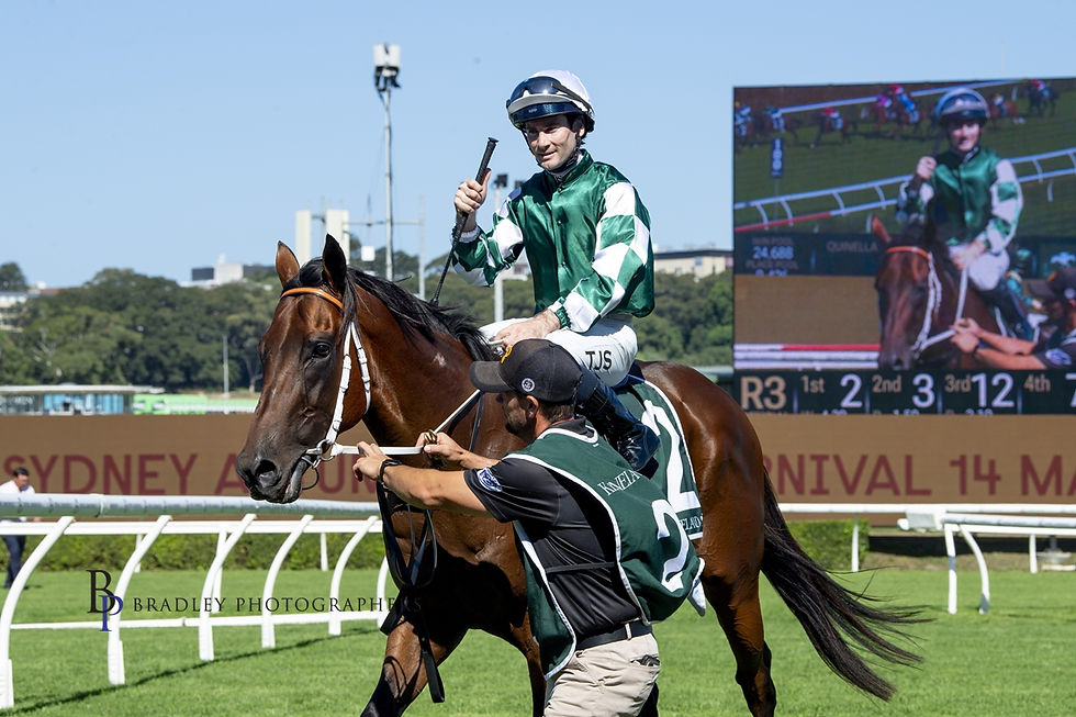 NEWCASTLE COLT “SPOT ON” FOR MELBOURNE GROUP 1 ASSIGNMENT