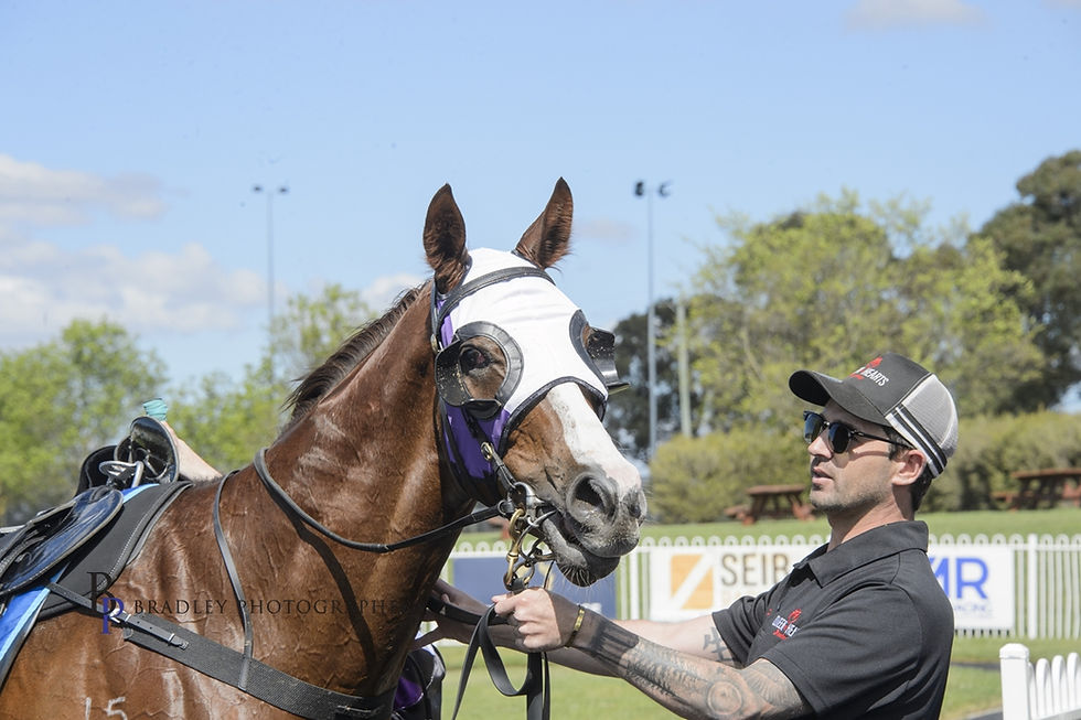 HULL NO STRANGER TO LONGSHOT WINNERS