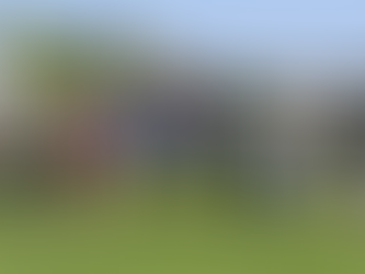 STABLE FAVORITE DOES IT AGAIN FOR TEAM KEARNEY