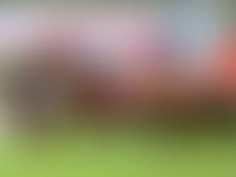 WIDDUP BAGS FOUR OF SIX HAWKESBURY WINNERS