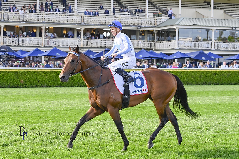 “HARRY” REHABBING WELL WITH BRISBANE WINTER ON THE AGENDA