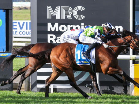 HAWKESBURY CEO GETS FIRST G1 RUNNER IN CAULFIELD CUP